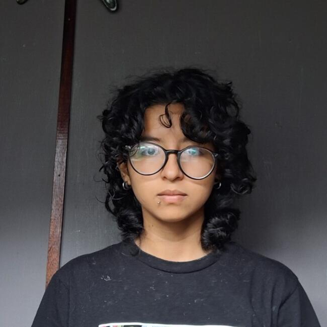 Babysitter in Alajuela: Ashley