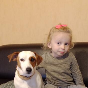 Babysitting job in Sambin: babysitting job Цветелина