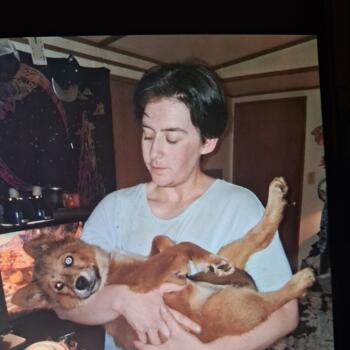 Babysitter in Waterville: Shelby