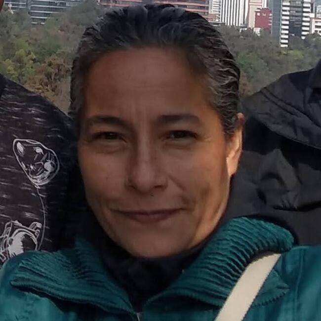 Niñera en Ciudad de México: Reyna
