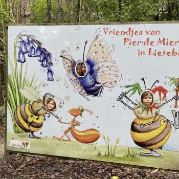 Babysitadres in Bilzen: babysitadres Sigrid