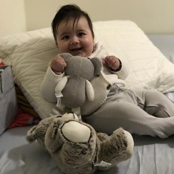 Babysitting job in Brampton: babysitting job Harwinder
