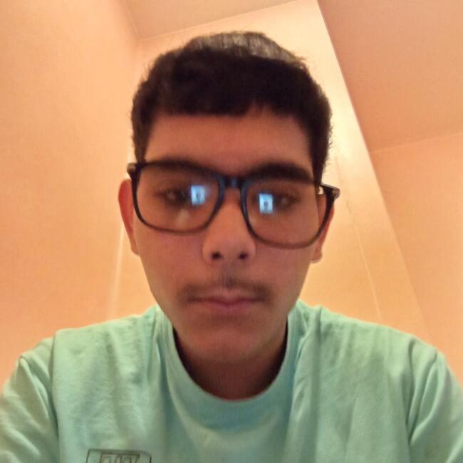 Babysitter in Toulouse: Yahia