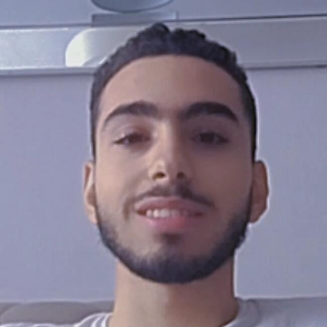 Babysitter in Wattrelos: Wasim