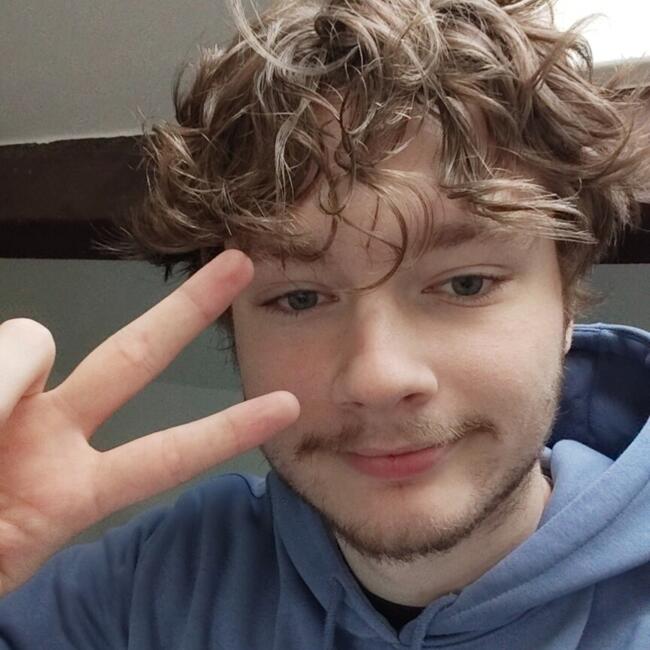 Babysitter in Chambéry: Flavien