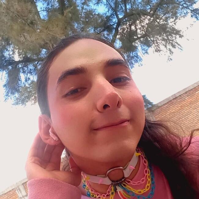 Babysitter in Aguascalientes: Alan Sergei
