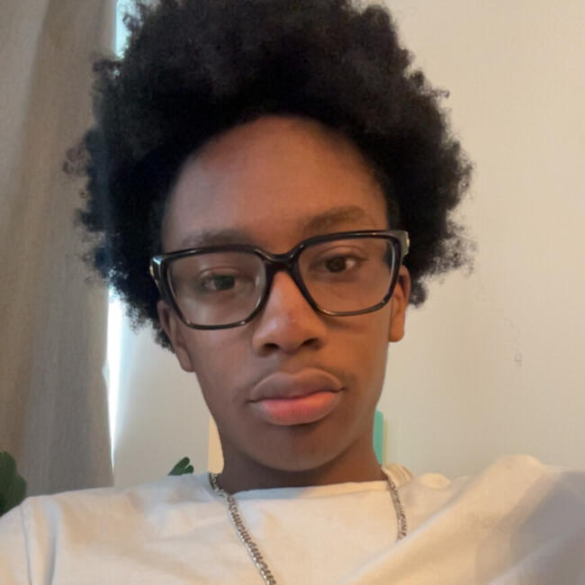Babysitter in Delson: Thierno Cellou
