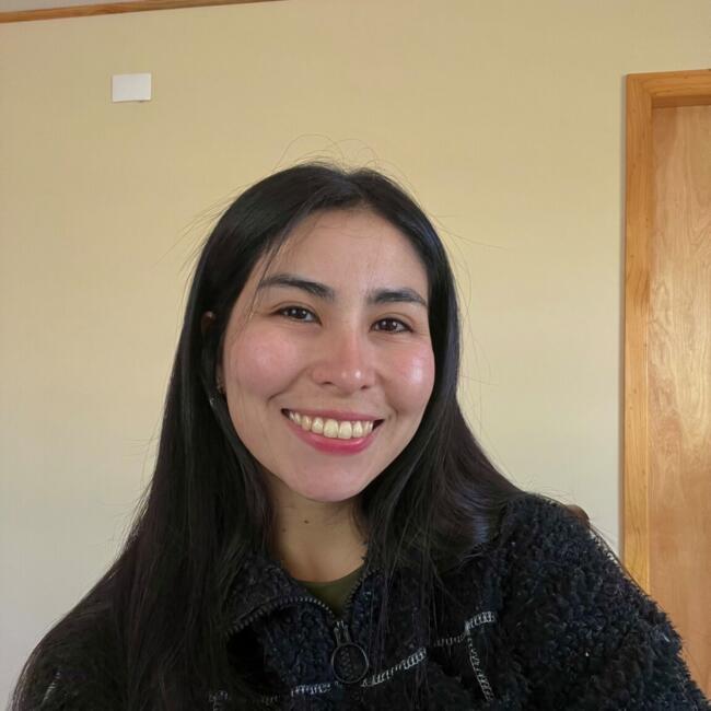 Babysitter in Chillán: Rosa