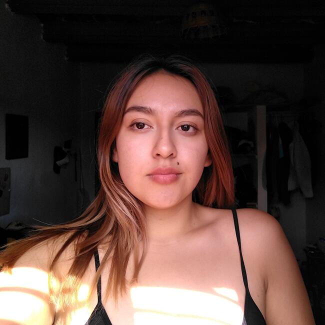 Niñera en Irapuato: Alejandra