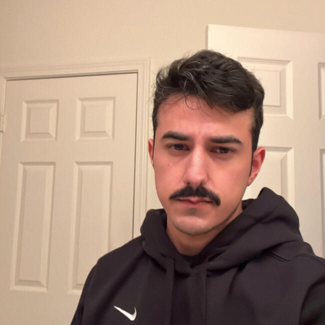 Babysitting job in Memphis: Luis