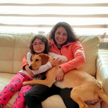 Babysitting job in Los Andes: babysitting job Ingrid