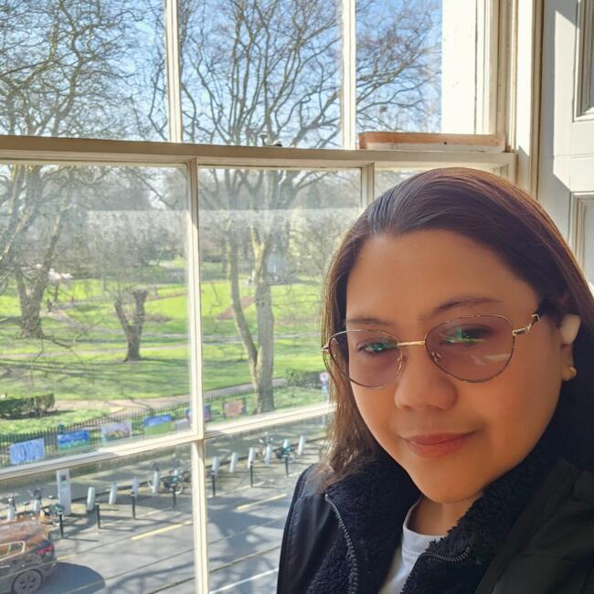 Babysitting job in Limerick: Dina