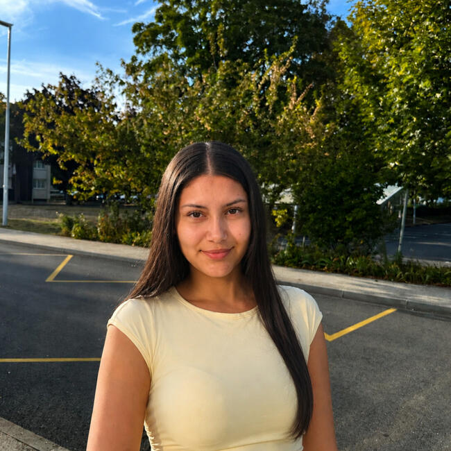 Babysitter in Vigneux-sur-Seine: Veronique