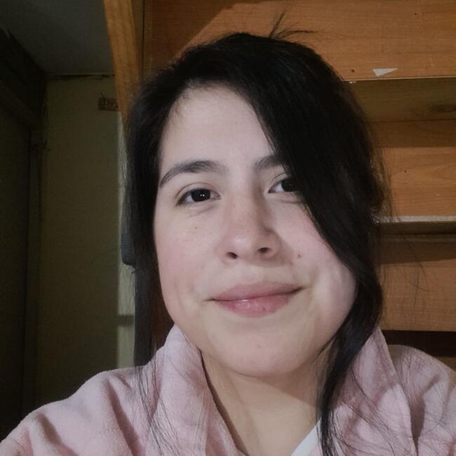 Babysitter in Temuco: KARINA ALEJANDRA