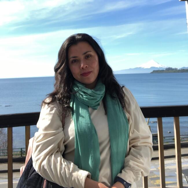 Babysitter in Puerto Varas: Camila