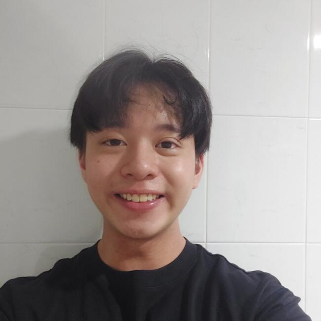 Babysitter in Singapore Island: Princeton