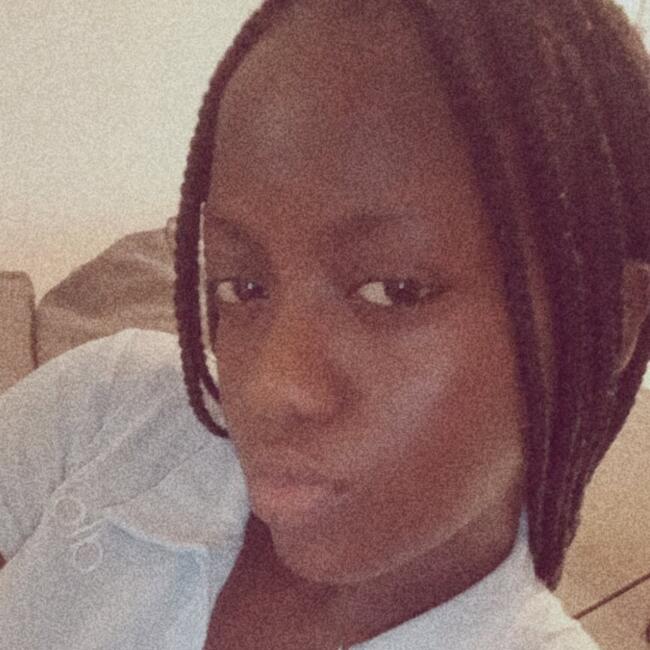 Babysitter in Abuja: Peculiar