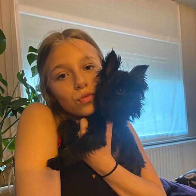 Babysitter in Malle: Marie