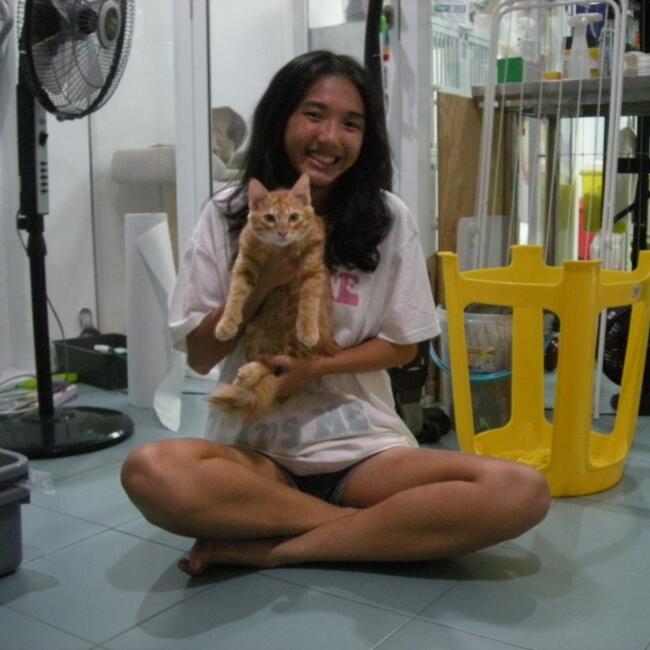 位于新加坡的临时保姆: Rui En