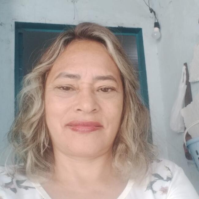 Babysitter in Aparecida de Goiânia: Edna