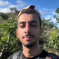 Henrique Leão