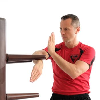 Babysitter Job in Mannheim: Babysitter Job Sifu Sergej