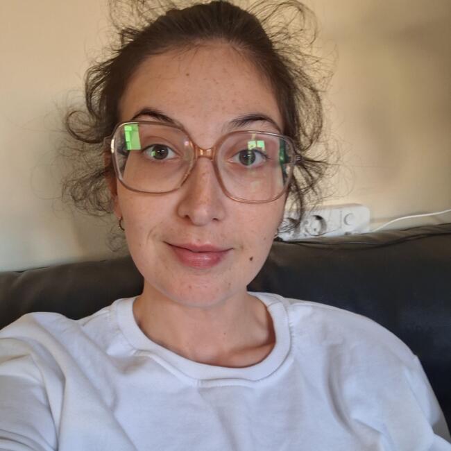 Babysitting job in Valpaços: Camille