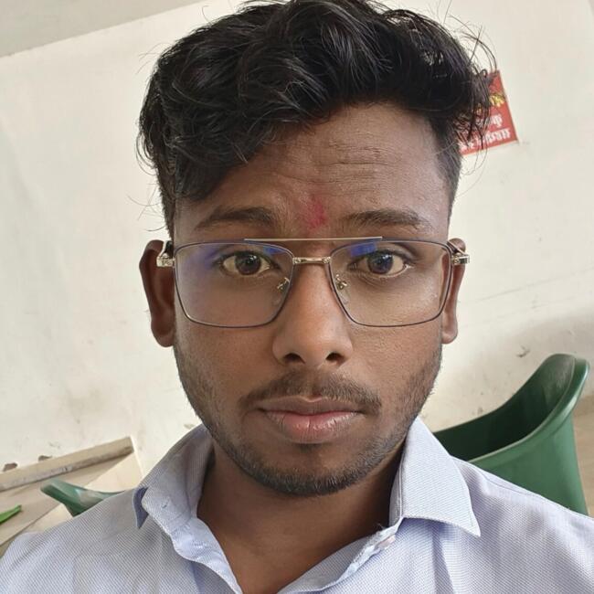 Babysitter in Faridabad: Sourab Choudhary