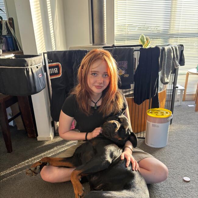 Babysitter in Havelock North: Elle
