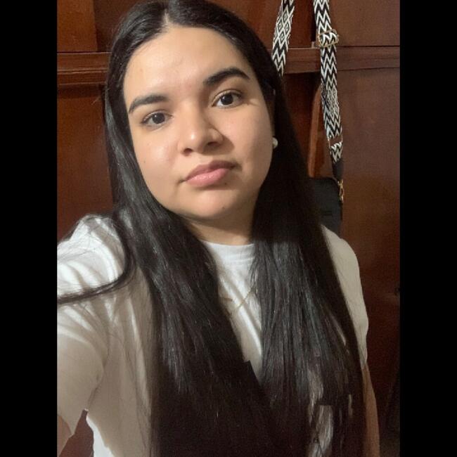 Niñera en Paraná: Nair