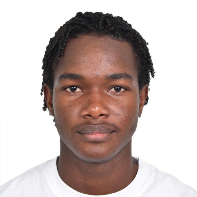 Niñera en Santo Domingo (Distrito de Santo Domingo): Josue