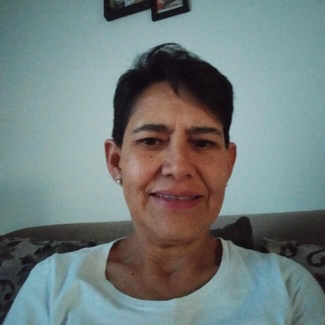Niñera en Puebla de Zaragoza: Gloria Mendoza Chávez 