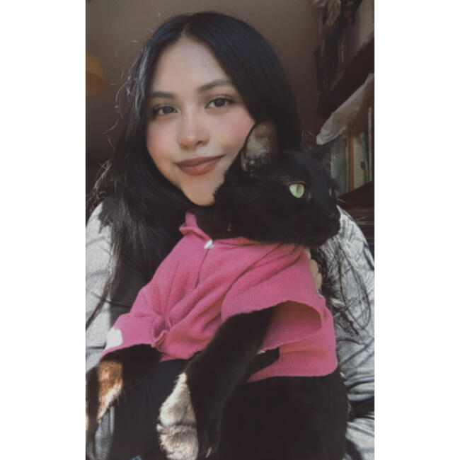 Babysitter in Salta: Marianela