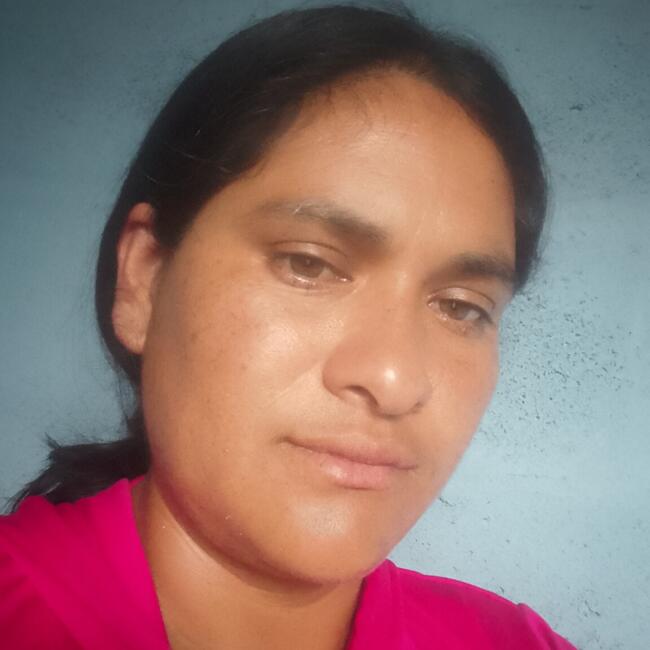 Babysitter in Cotacachi: Lucia Elizabeth
