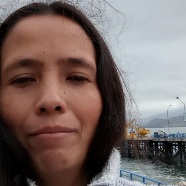 Trabajo para niñera en La Serena: Renata