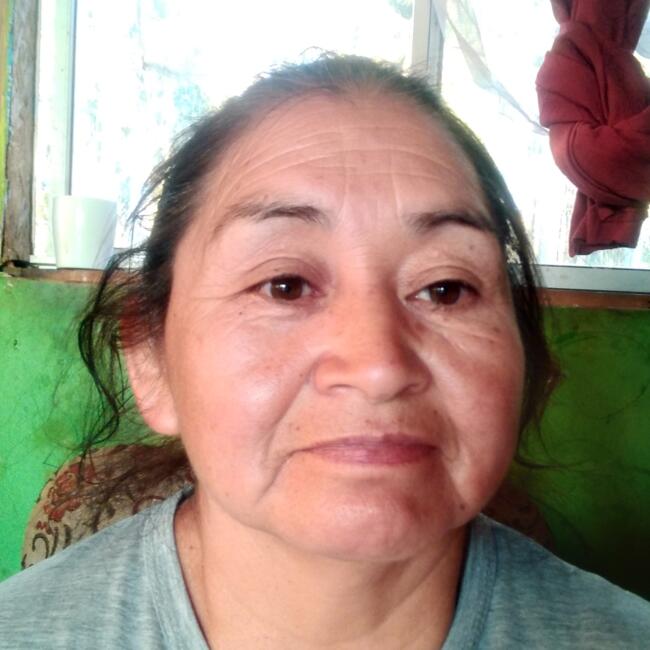 Niñera en Padre Las Casas: Magdalena