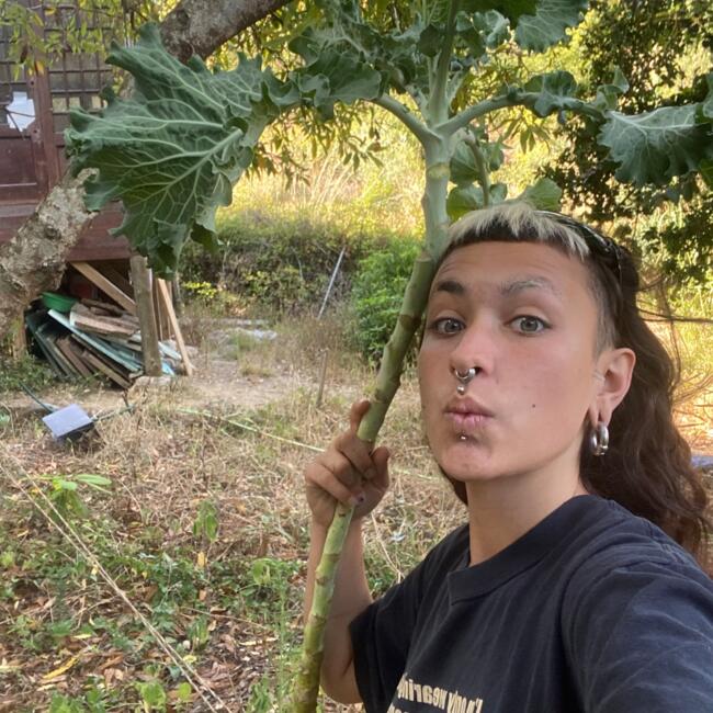 Babysitter em Barão de São João: Liberdade
