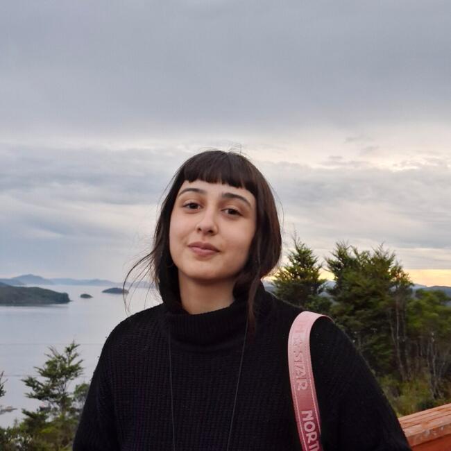 Babysitter in Coyhaique: Carolina