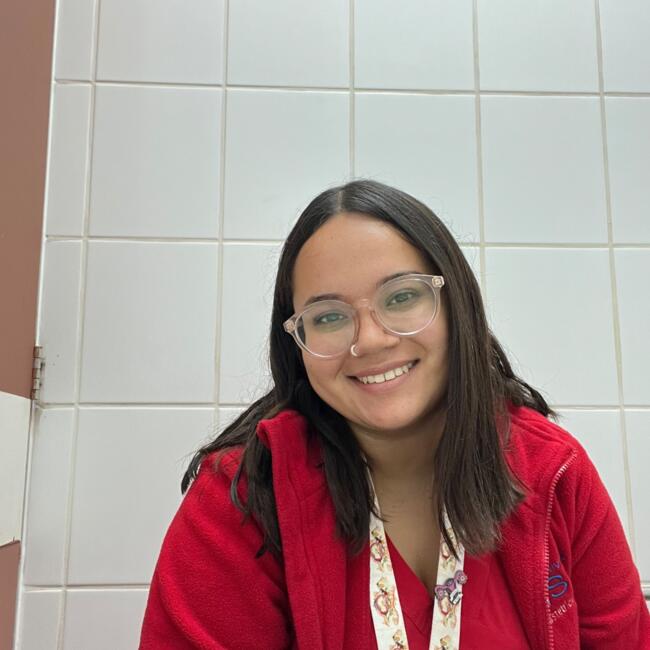 Babysitter in Santiago: Kristel