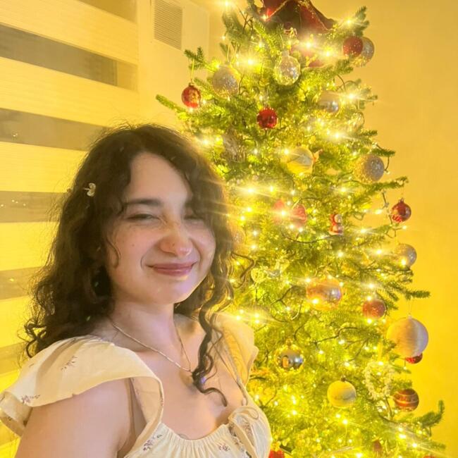 Babysitter in Santiago: Diana Pavez Castro