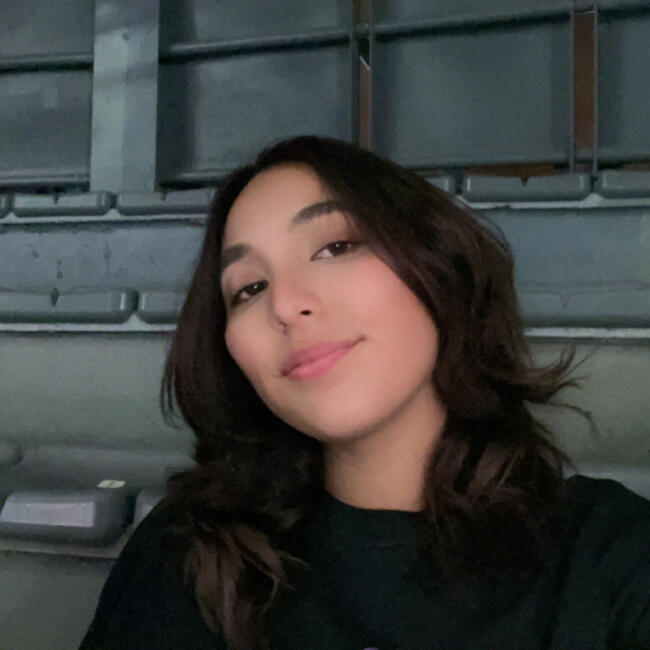 Babysitter in Durango: Marisol