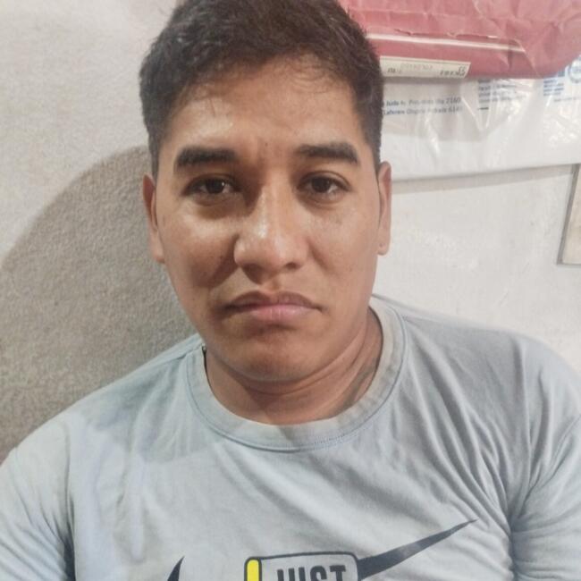 Trabajo para niñera en San Miguel: Gerardo raul