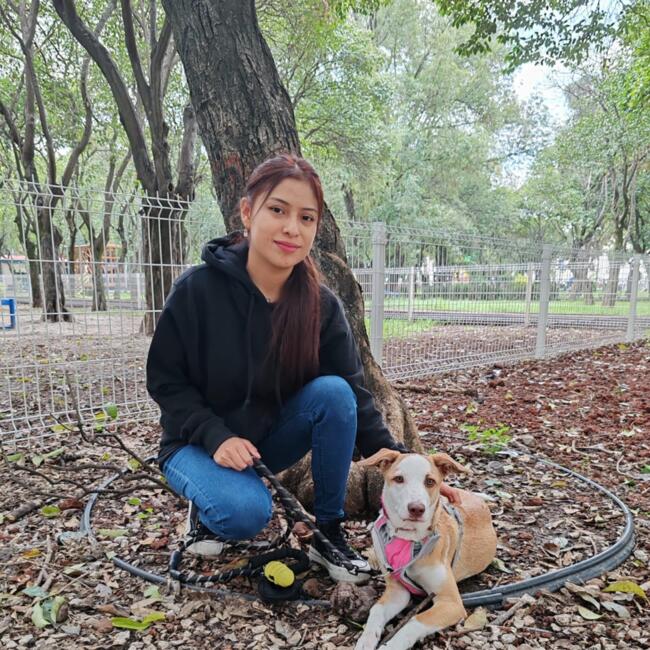 Babysitter in Puebla City: Ani