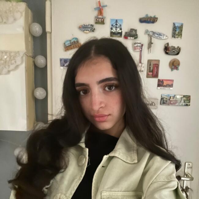 Babysitter in Villejuif: Serine