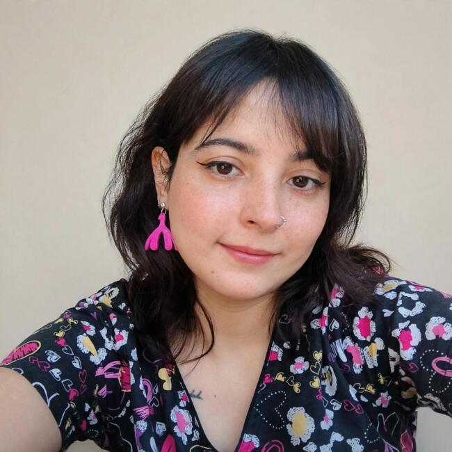 Niñera en Quilicura: DANITZA CAROLINA ALFARO CUEVAS