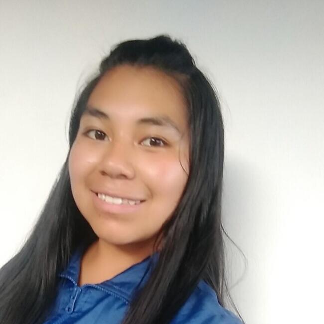 Babysitter in Arequipa: ANY