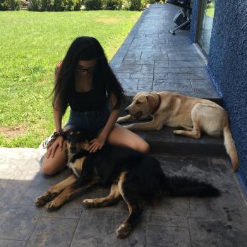 Babysitting job in Providencia: babysitting job Alejandra