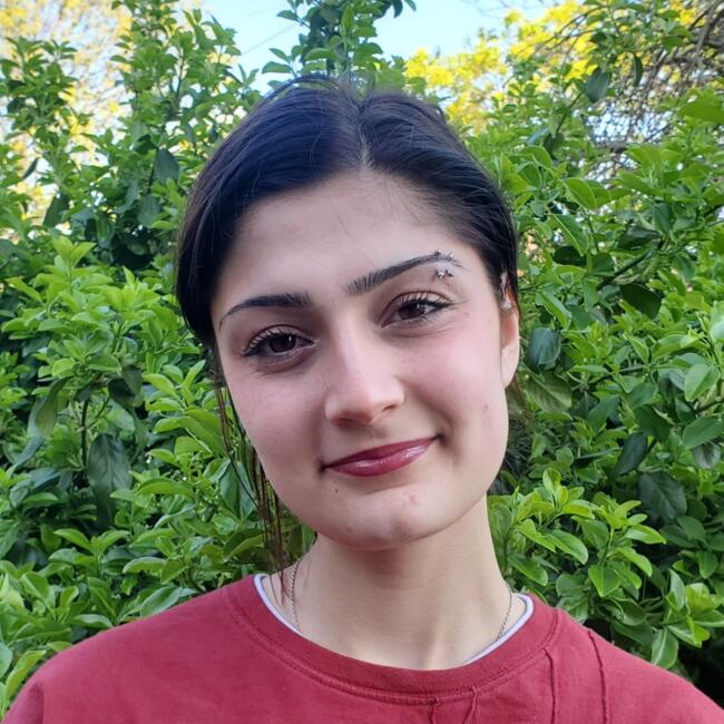 Baby-sitter in Newmarket: Sharon