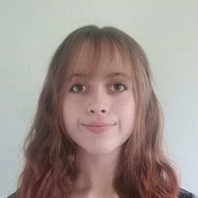 Babysitter in Papamoa: Tydee