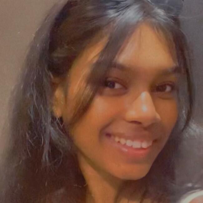 Babysitter in Saint-Quentin: Sanjena